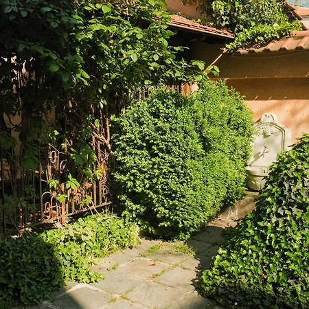 Tatyana Garden 公寓 普罗夫迪夫