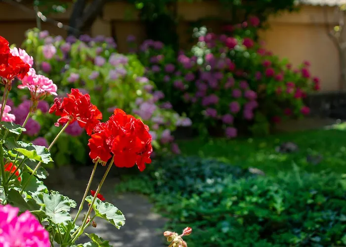 Tatyana Garden * 普罗夫迪夫