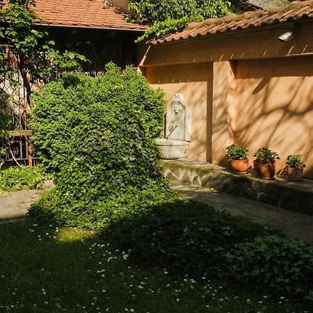 Tatyana Garden