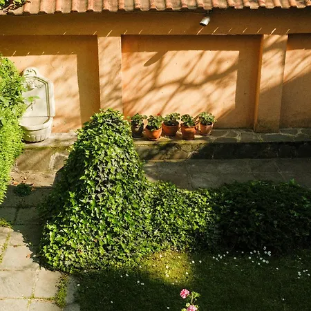 Tatyana Garden 아파트 플로브디프