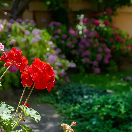 Tatyana Garden * Filibe