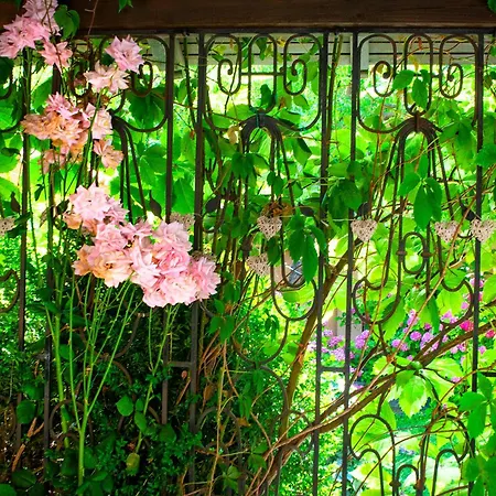 Apartment Tatyana Garden